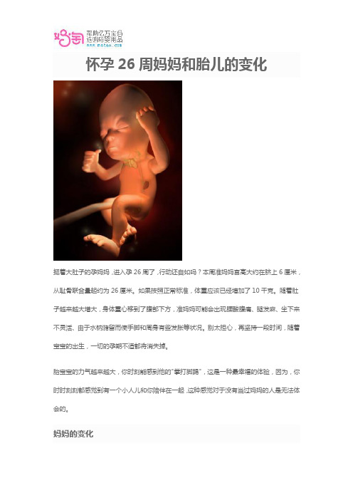 怀孕26周妈妈和胎儿的变化