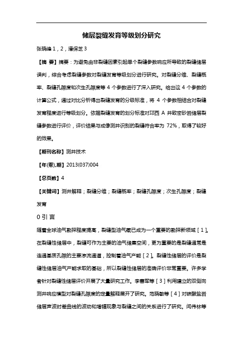 储层裂缝发育等级划分研究