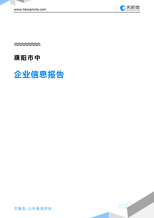 濮阳市中企业信息报告-天眼查