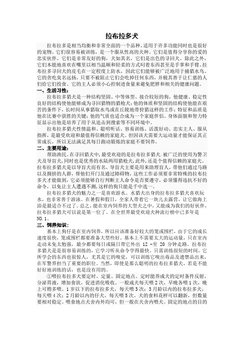 拉布拉多犬的论文