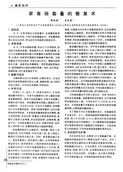 家畜肠套叠的整复术