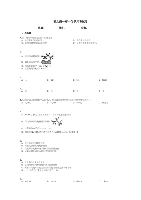 湖北高一高中化学月考试卷带答案解析
