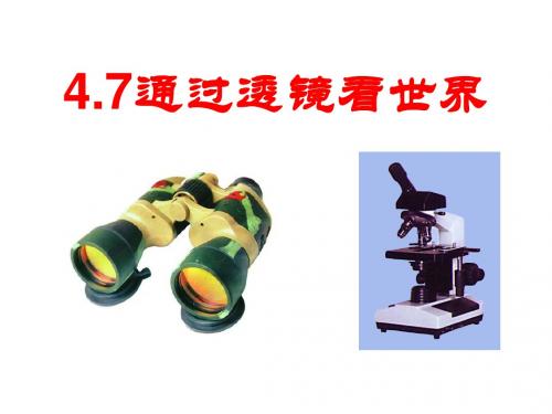 教科版八年级物理上 第四章在光的世界里 第七节通过透镜看世界 (共38张幻灯片)