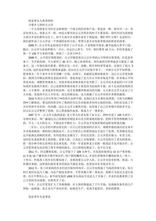 致富带头人典型材料