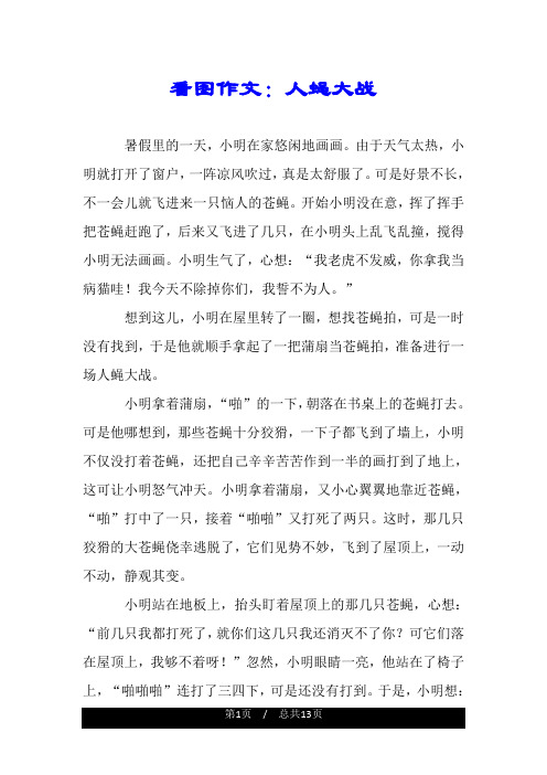 看图作文：人蝇大战.doc