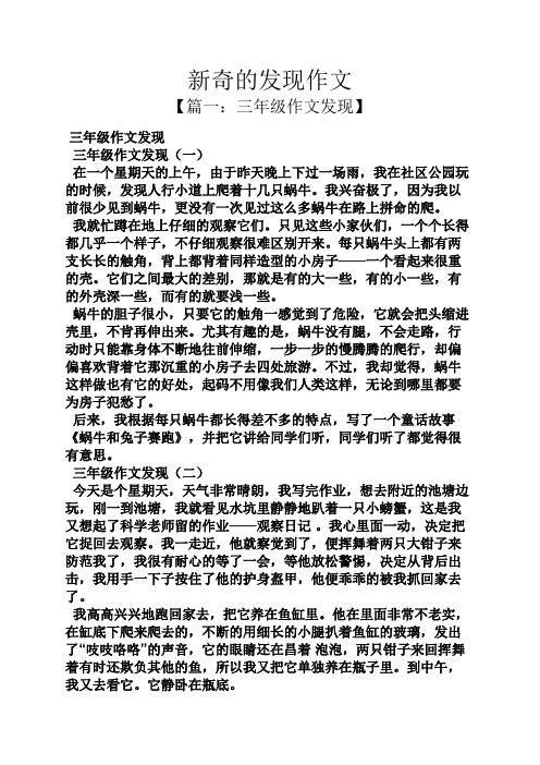新奇的发现作文