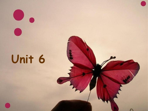 自考英语二 unit 6