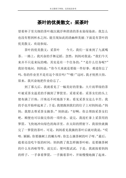 茶叶的优美散文：采茶叶