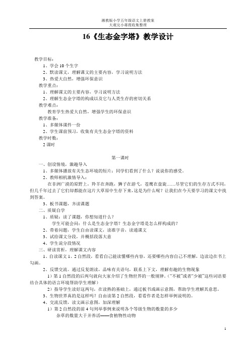 16《生态金字塔》教学设计