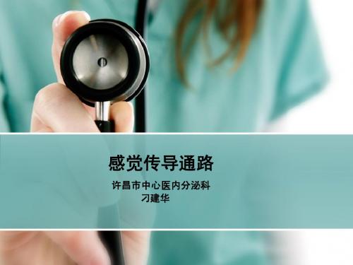 感觉传导通路