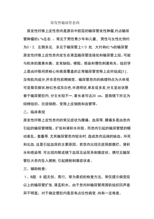 原发性输尿管息肉