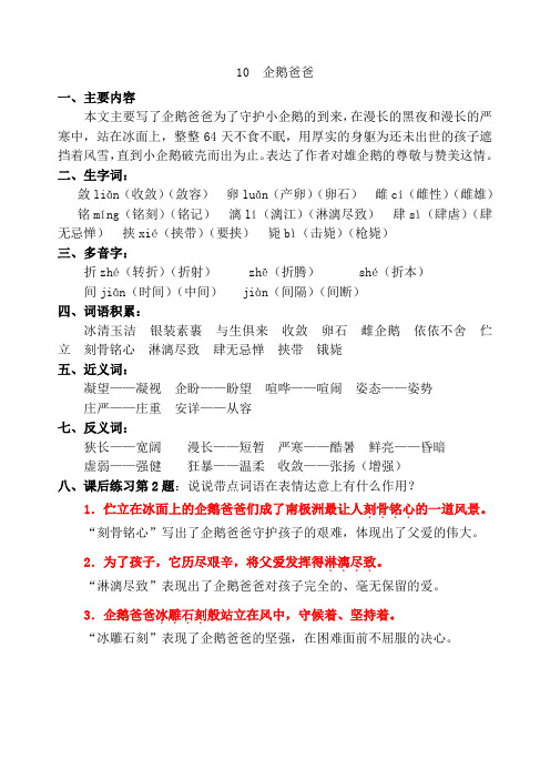 10 企鹅爸爸