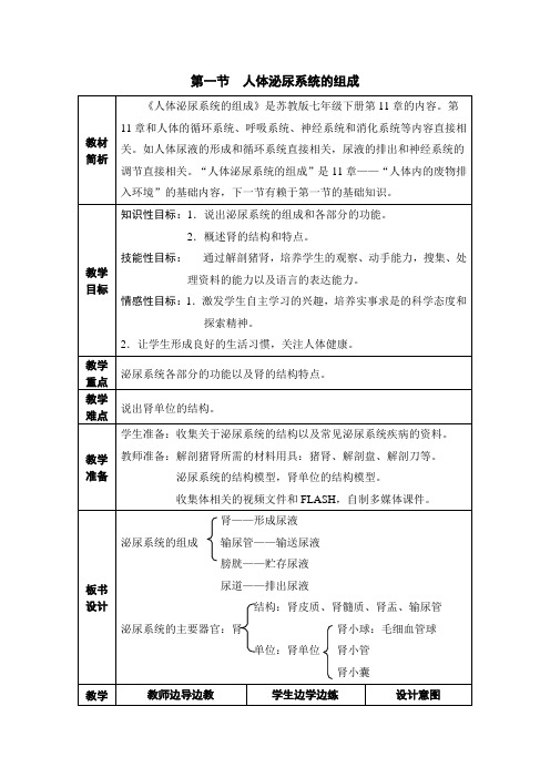 《人体泌尿系统的组成》参考教案