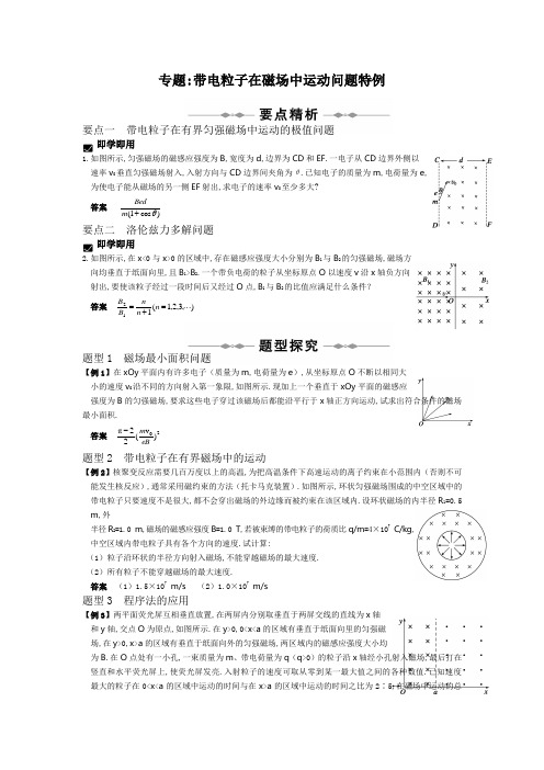 磁场-专题-带电粒子在磁场中运动问题特例