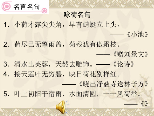 朱自清荷塘月色精品PPT课件