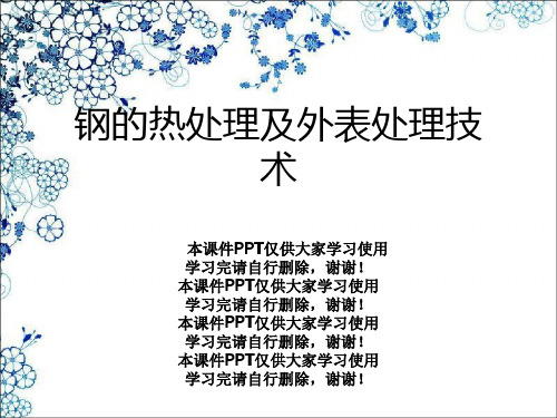 钢的热处理及表面处理技术