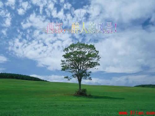 西部的风景