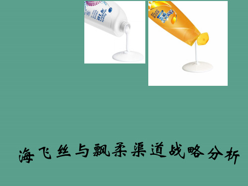 《洗发水渠道分析》ppt课件