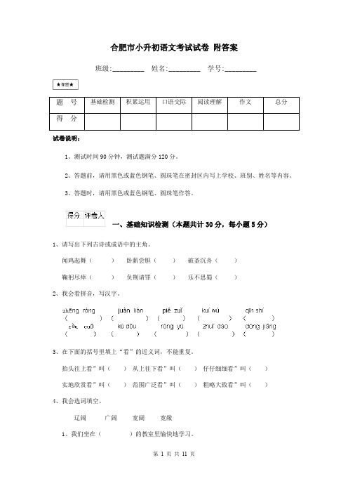 合肥市小升初语文考试试卷 附答案