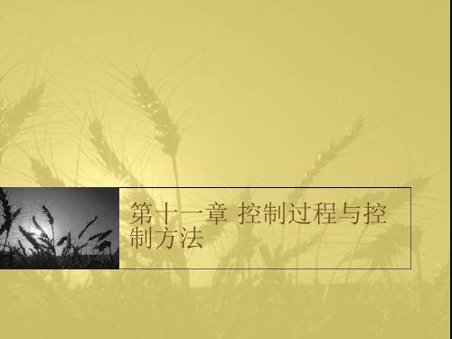 管理学 第11章 控制过程与控制方法