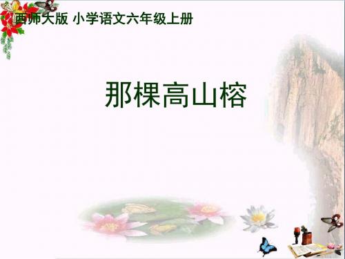 六年级语文上册第6课那棵高山榕精选教学PPT课件2西师大版