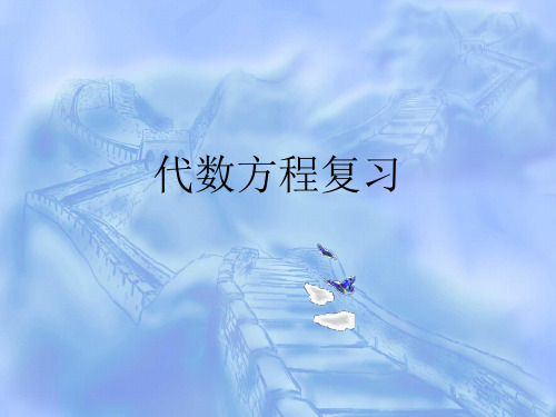 第二十一章代数方程复习