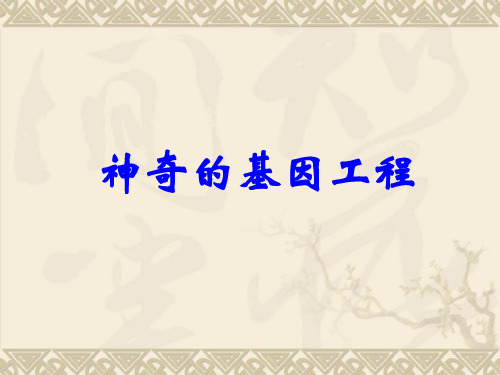 《神奇的基因工程》2PPT课件