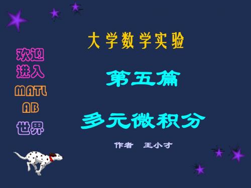 多元微积分