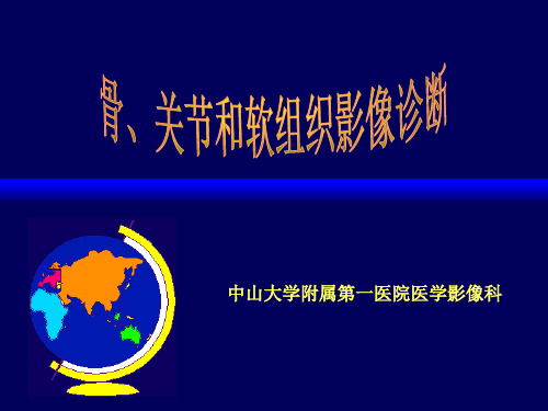 脊柱正常解剖.ppt 2