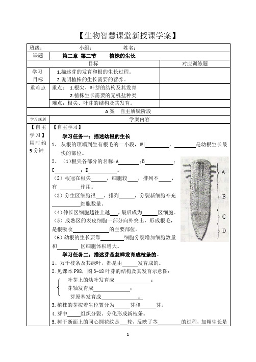 初中生物《植株的生长》学案教案