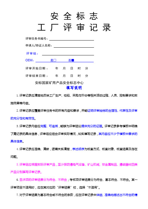 新安标(煤安)现场评审模板