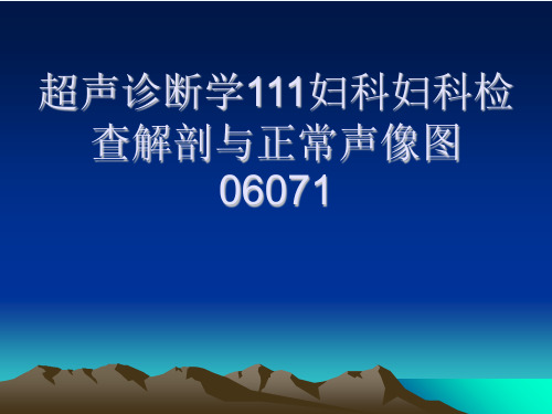 超声诊断学111妇科妇科检查解剖与正常声像图06071[可修改版ppt]
