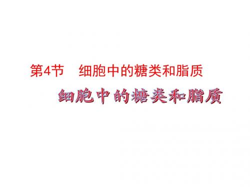 人教版必修1第二章第四节细胞中的糖类和脂质(共30张PPT)