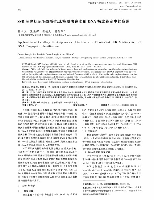 SSR荧光标记毛细管电泳检测法在水稻DNA指纹鉴定中的应用