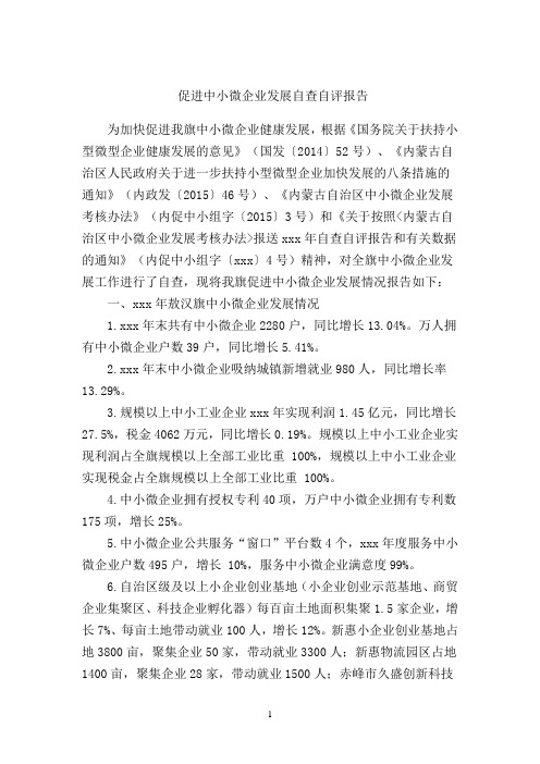 中小微企业发展自查自评报送审稿
