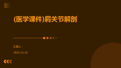 (医学课件)肩关节解剖