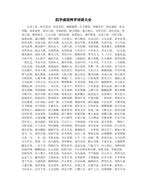 四字成语两字词语大全