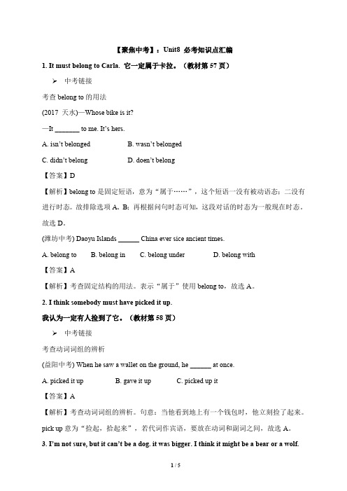 人教新目标英语九年级全册 Unit 8 Tt must belong to Carla 知识点汇编