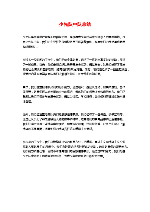 少先队中队总结