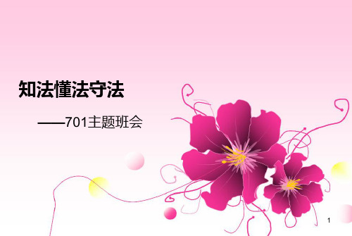 知法懂法守法课件PPT