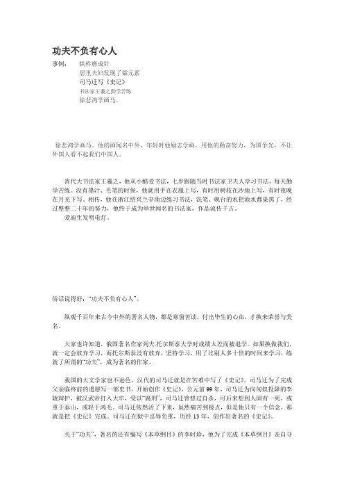 功夫不负有心人