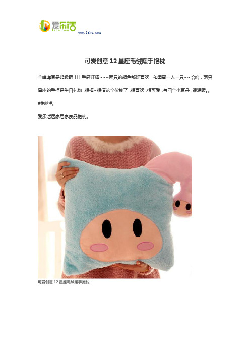 可爱创意12星座毛绒暖手抱枕