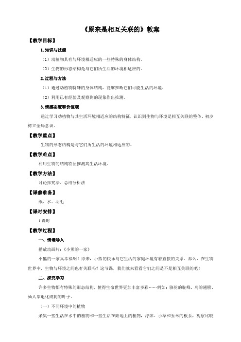 六年级上册科学教案-4.6原来是相互关联的l教科版
