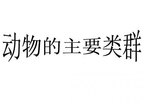 动物主要类群复习