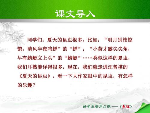 (新)苏教版七年级语文下册课件 18.夏天的昆虫