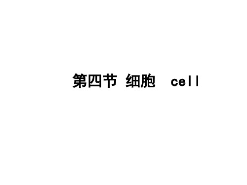 第四节-细胞--浙教版(2019年10月)