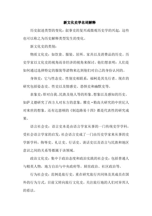新文化史学名词解释