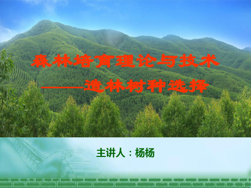 树种选择
