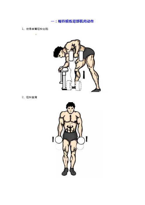 哑铃健身动作图解