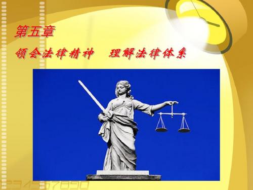 第五章 领会法律精神 理解法律体系